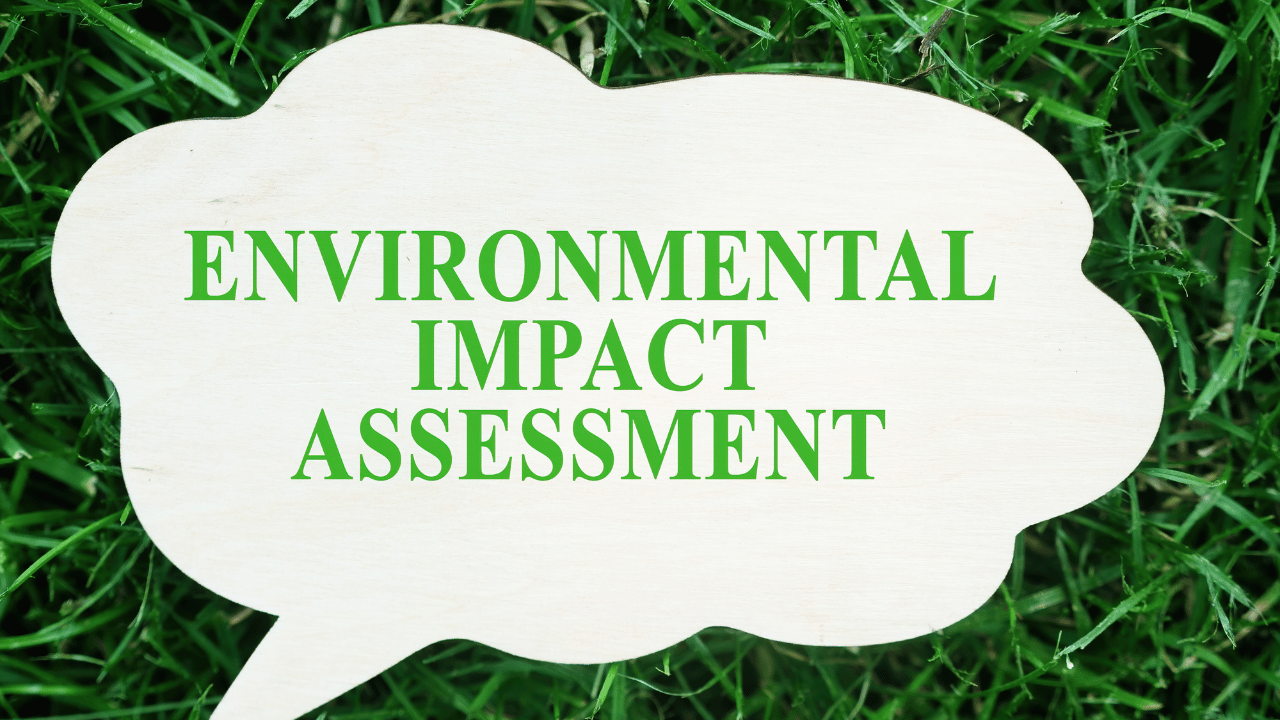 Environmental Impact of Flushing Baby Wipes