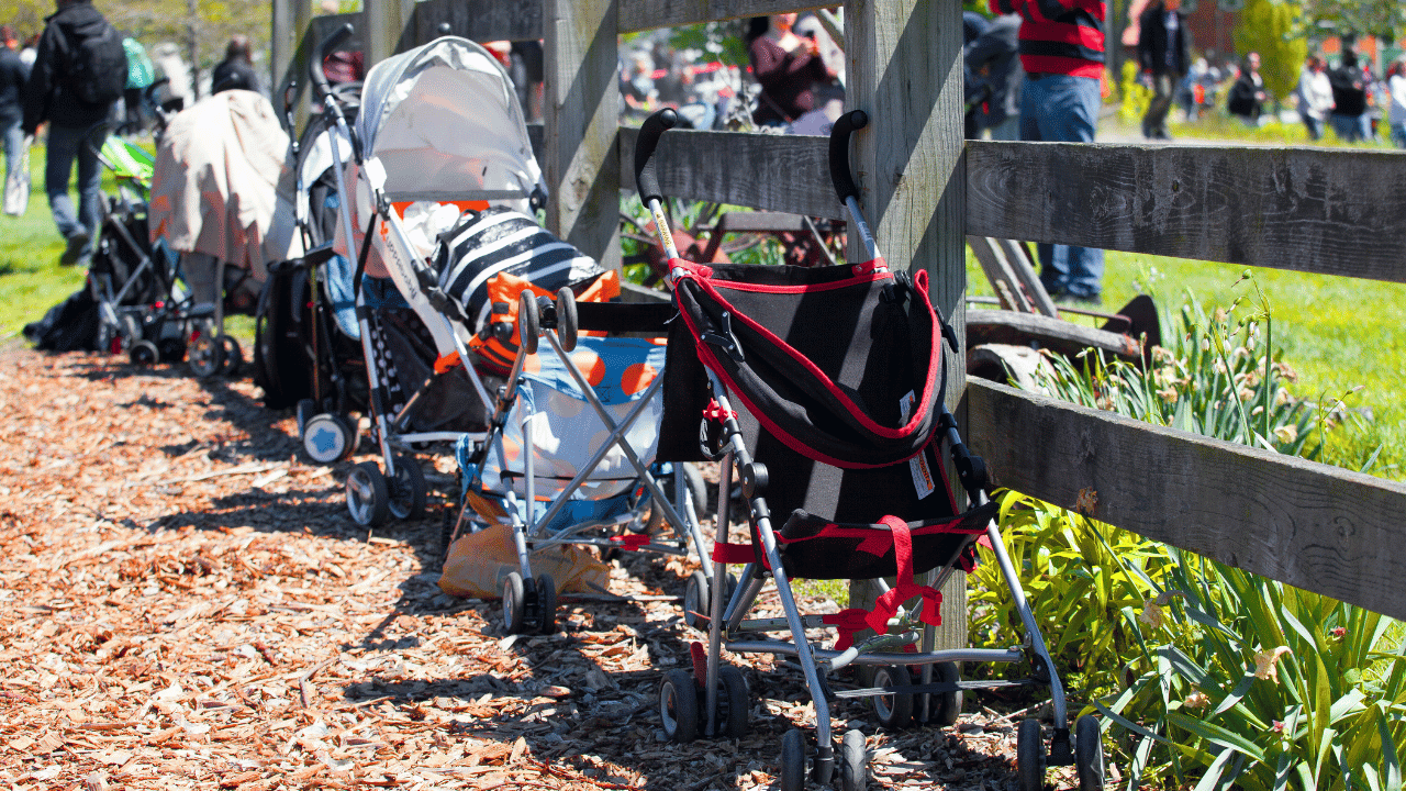 Different Types of Strollers