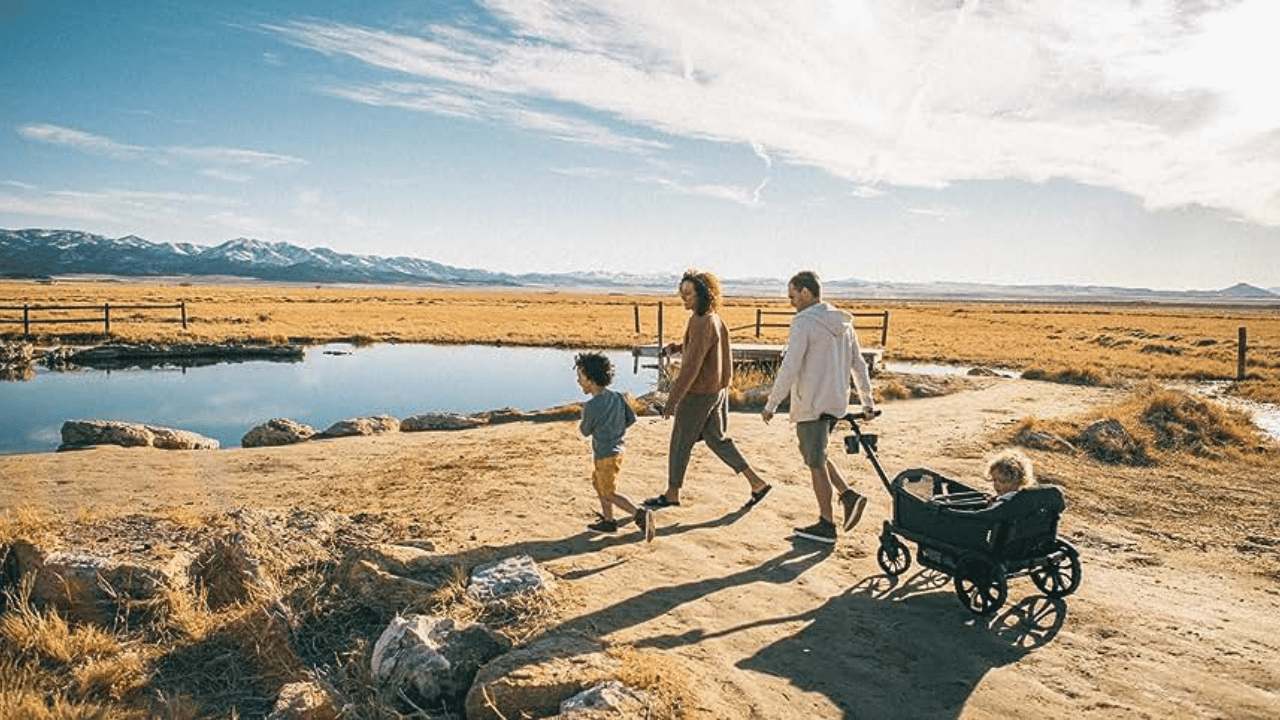 Veer Stroller Wagon