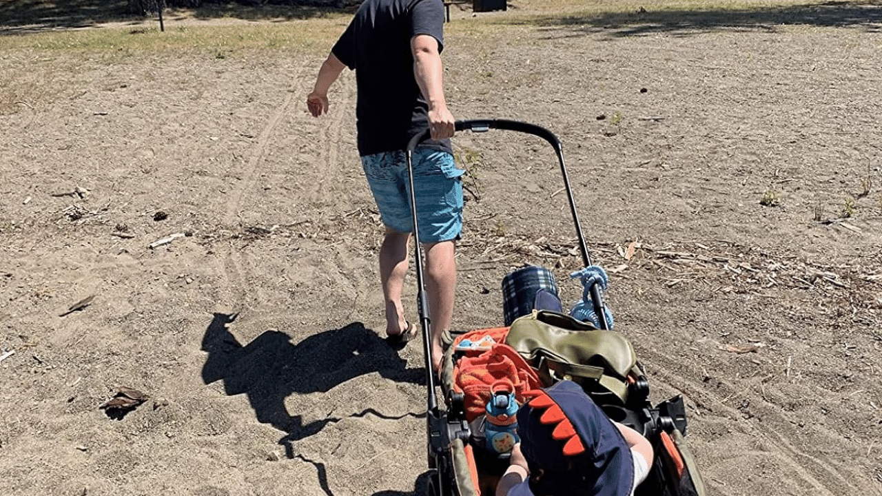 Stroller Wagon Handling Rough Terrain