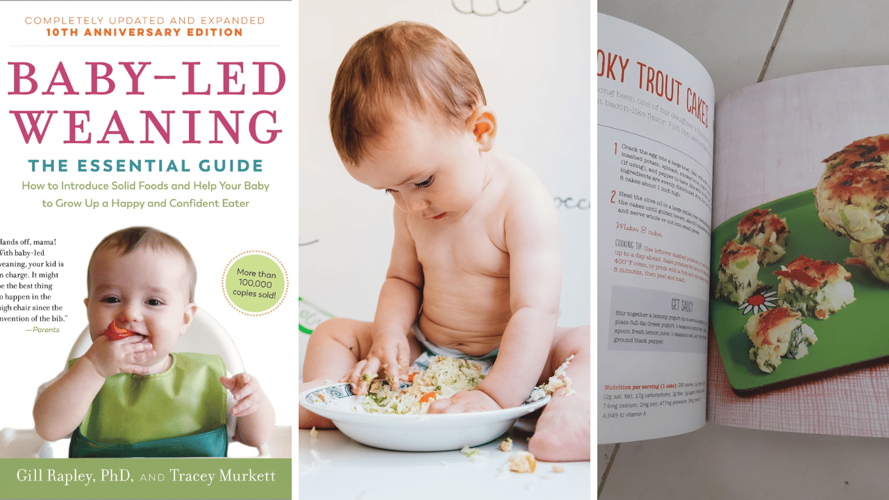 Discovering Baby Led Weaning: The Best Books To Help Your Little One Try Solid Foods!