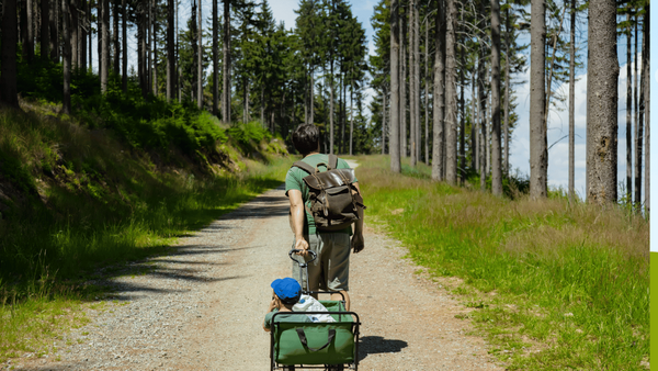 Stroller Wagons:  A Safe and Convenient Choice For Families - Are Stroller Wagons Safe?