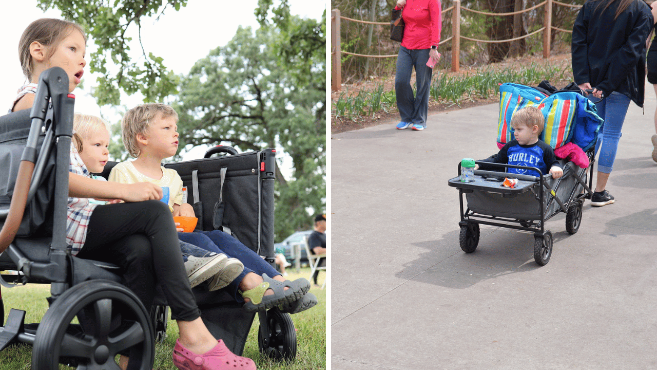 Which Stroller Wagon Can Carry the Heaviest Weight?